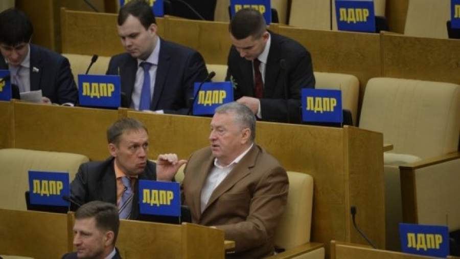 ЛДПР обещает амнистию многодетным и беременным