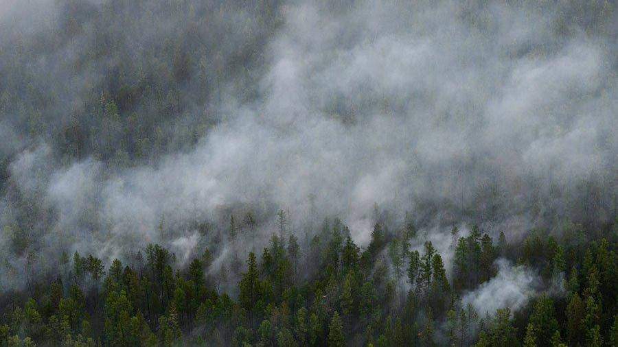 За минувшие сутки в Хабаровском крае зарегистрировано три лесных пожара