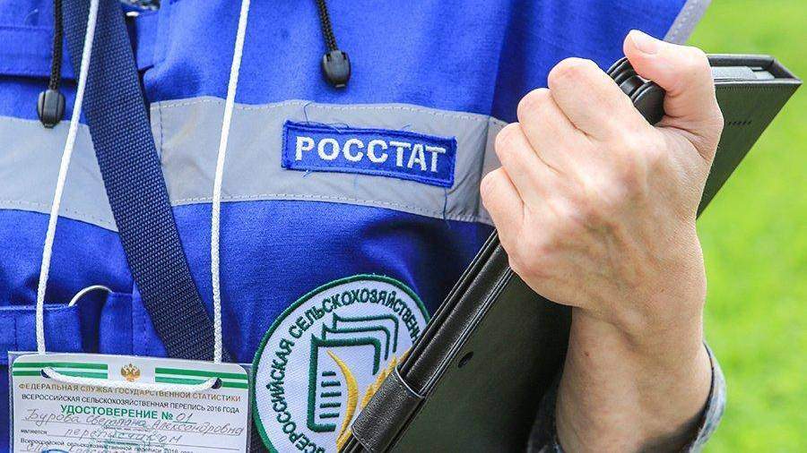 Росстат подтвердил оценку роста ВВП РФ в I квартале