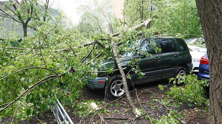 Москвичи начали получать компенсации ущерба, причиненного ураганом